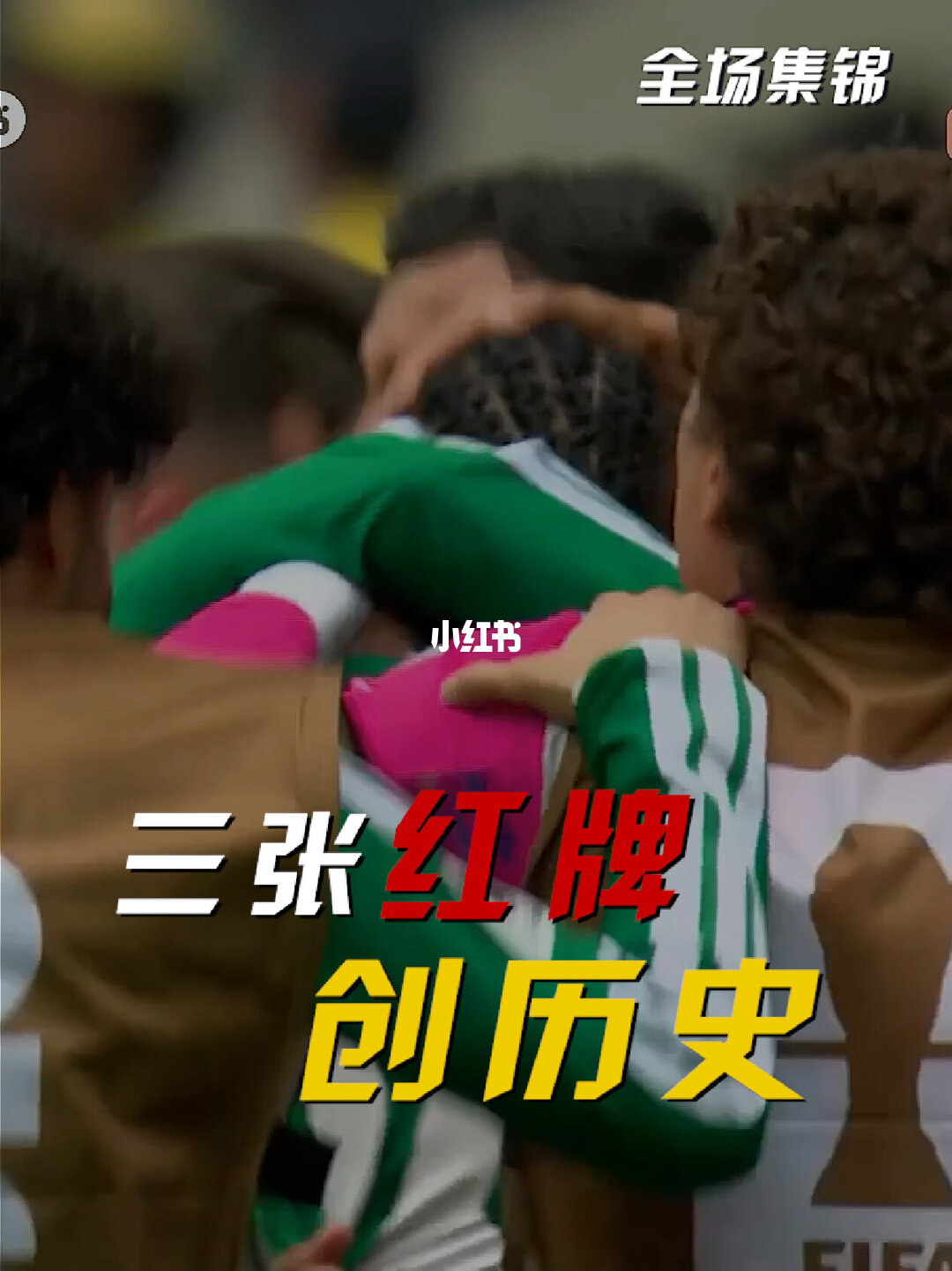 06月12日 世界杯小组赛A组第1轮 墨西哥vs南非 全场录像【全场录像+集锦】
