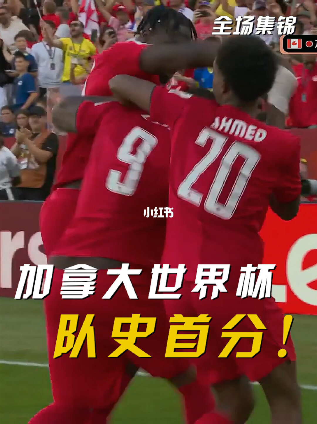 06月13日 世界杯小组赛B组第1轮 加拿大vs波黑 全场录像【全场录像+集锦】