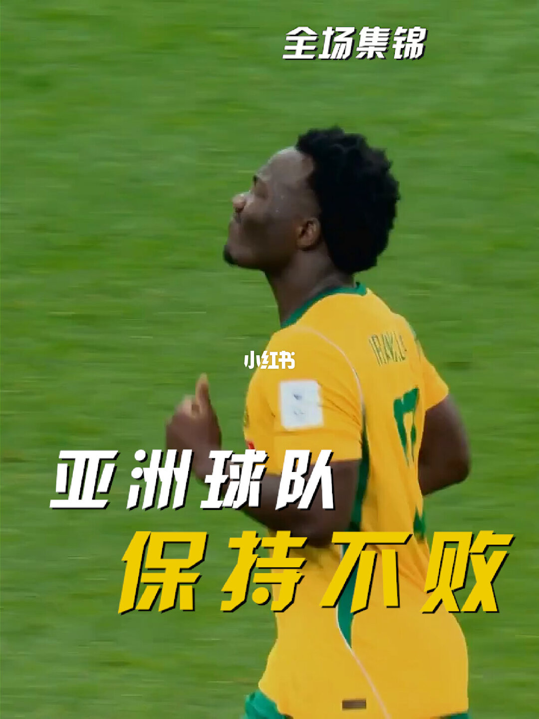 06月14日 世界杯小组赛D组第1轮 澳大利亚vs土耳其 全场录像【全场录像+集锦】