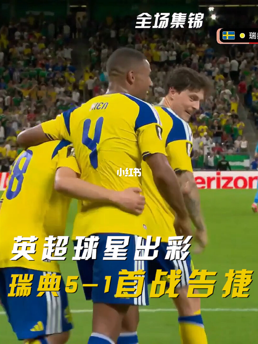 06月15日 世界杯小组赛F组第1轮 瑞典vs突尼斯 全场录像【全场录像+集锦】