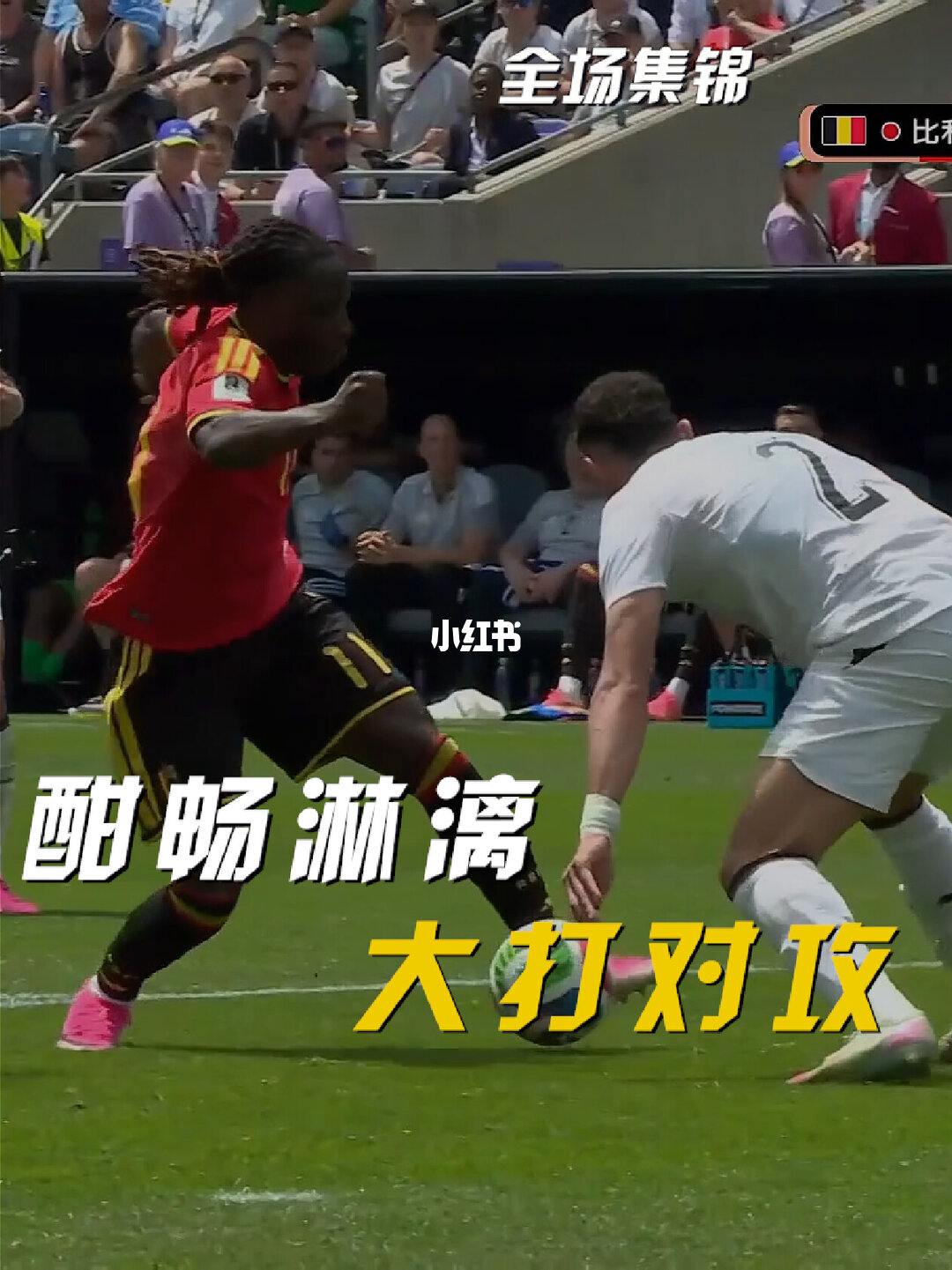06月16日 世界杯小组赛G组第1轮 比利时vs埃及 全场录像【全场录像+集锦】