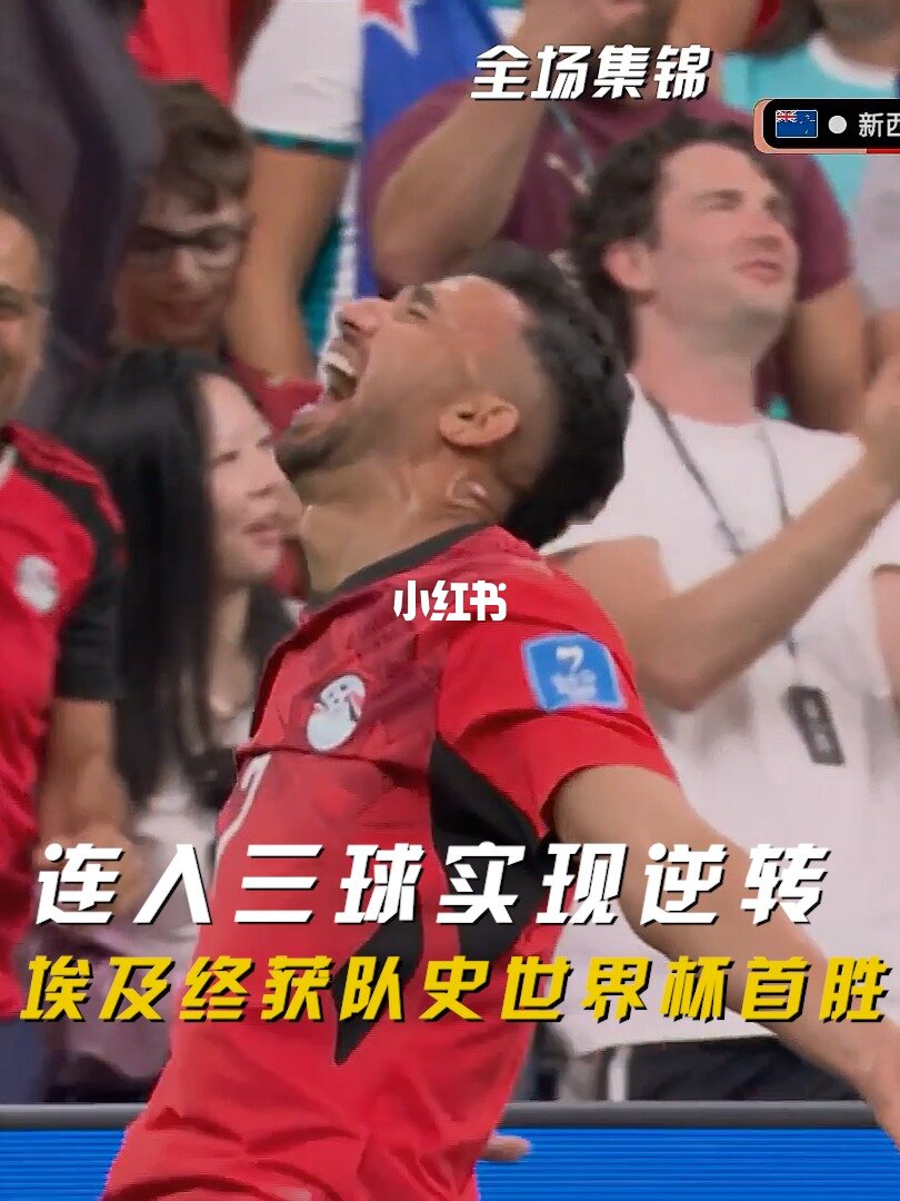 06月22日 世界杯小组赛G组第2轮 新西兰vs埃及 全场录像【全场录像+集锦】