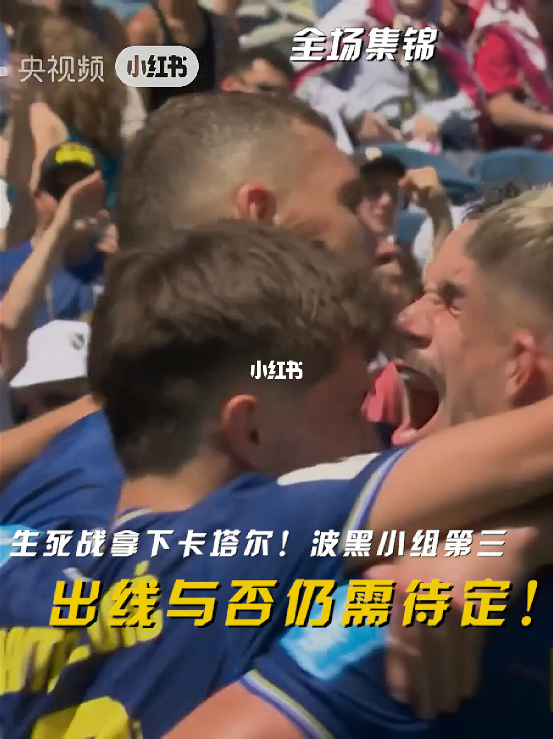 06月25日 世界杯小组赛B组第3轮 波黑vs卡塔尔 全场录像【全场录像+集锦】