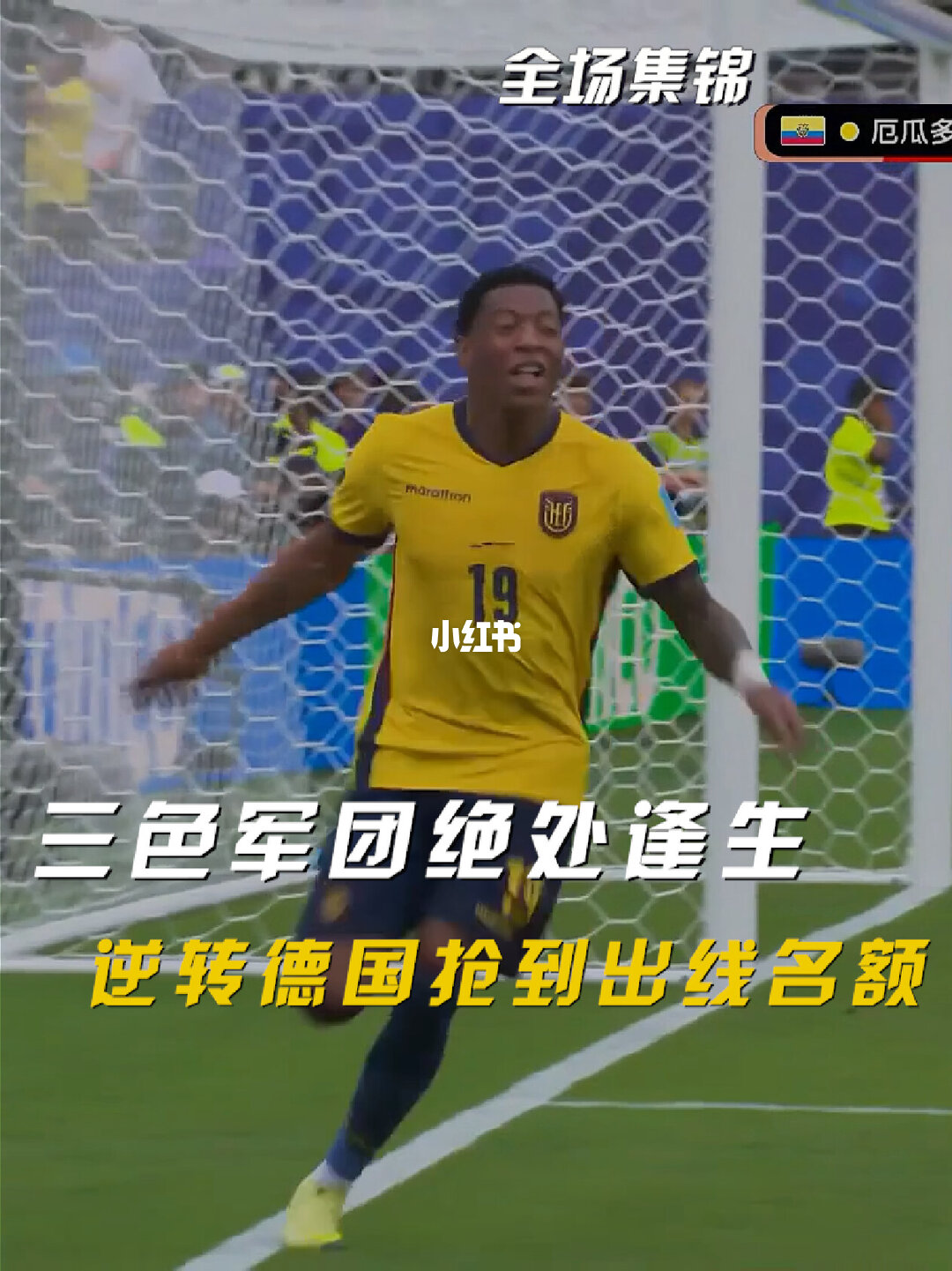 06月26日 世界杯小组赛E组第3轮 厄瓜多尔vs德国 全场录像【全场录像+集锦】