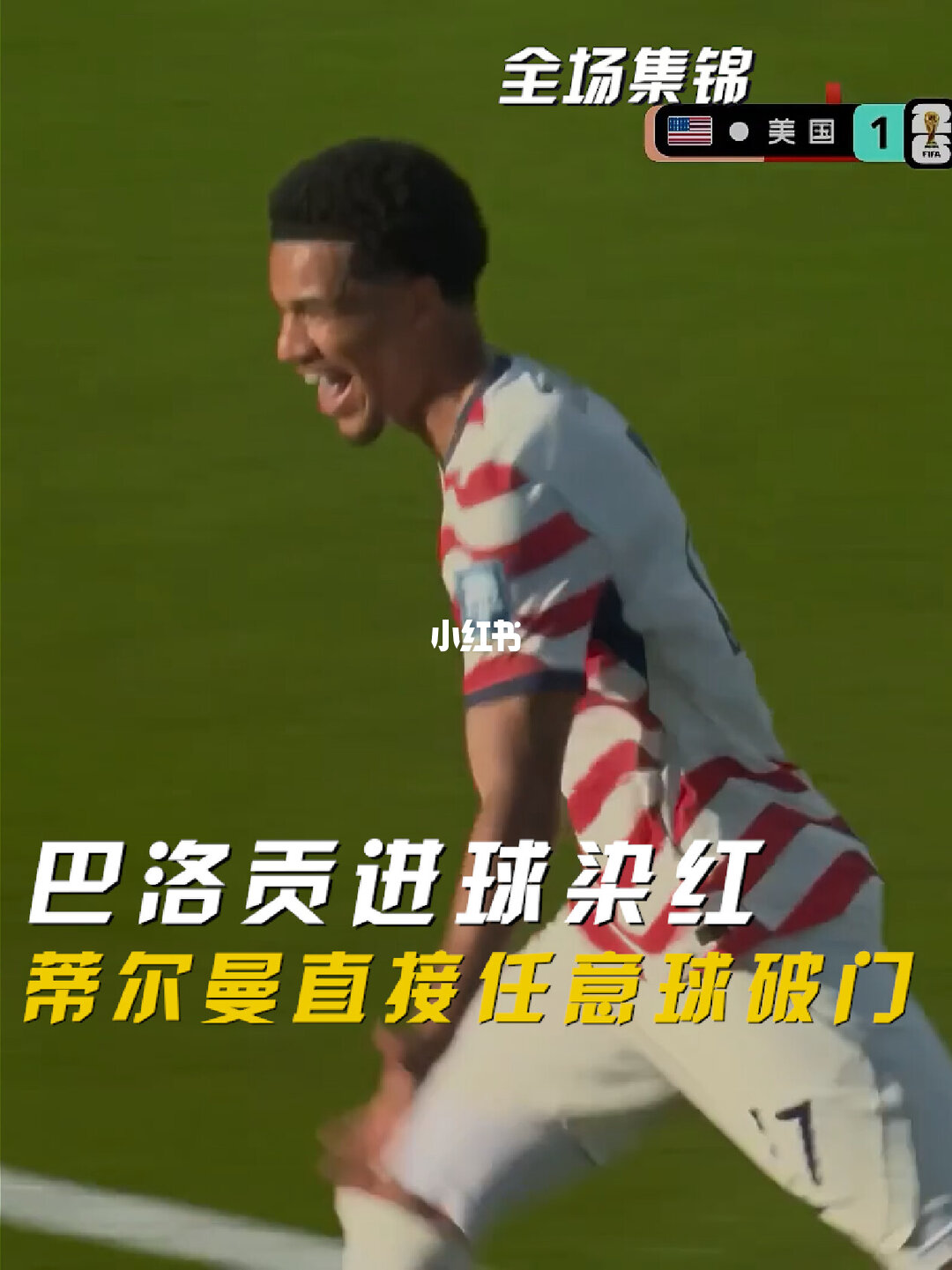 07月02日 世界杯1/16决赛 美国vs波黑 全场录像【全场录像+集锦】