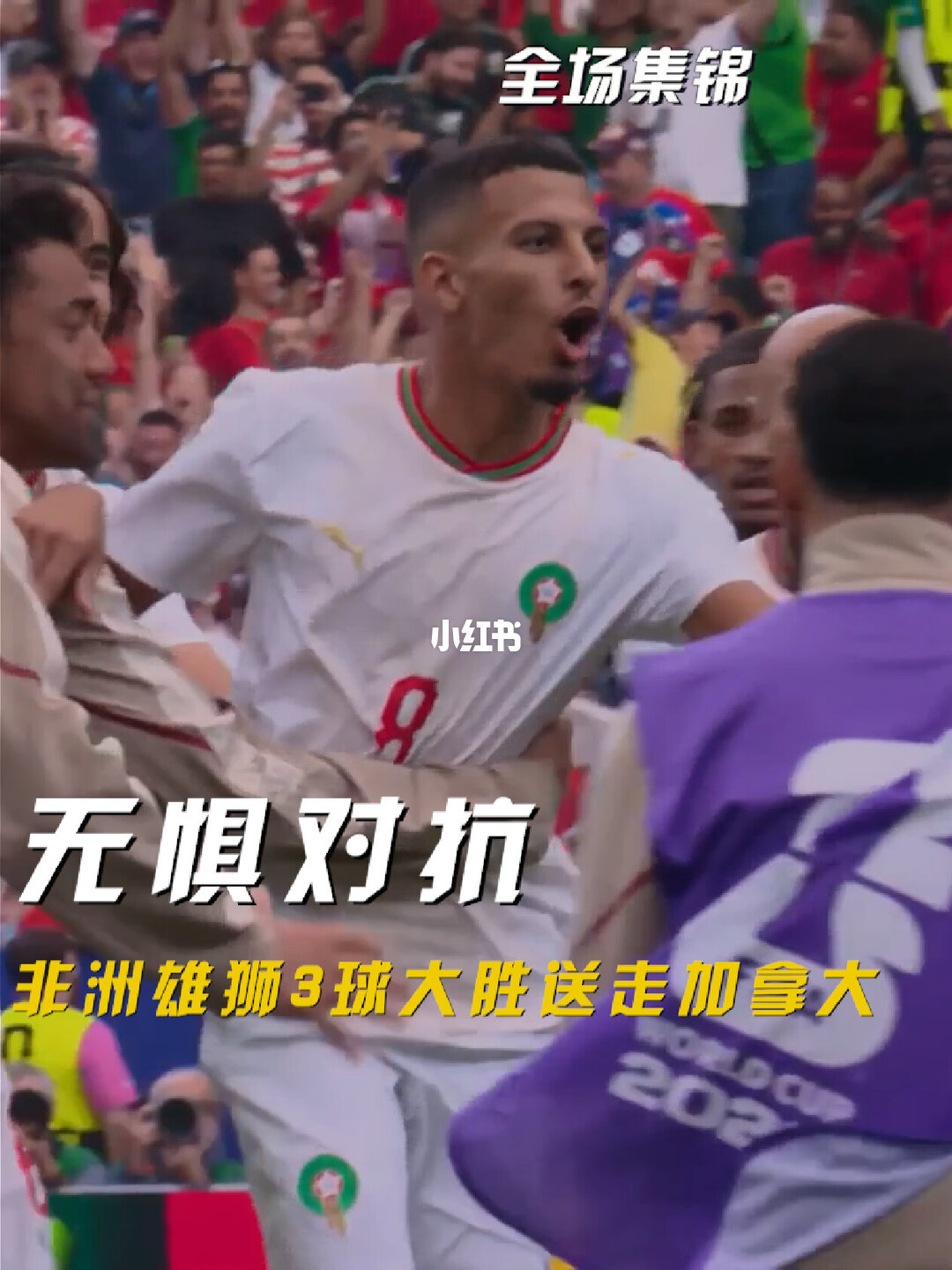 07月05日 世界杯1/8决赛 加拿大vs摩洛哥 全场录像【全场录像+集锦】